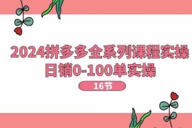 2024拼多多全系列课程实操，日销0-100单实操【16节课】，06月23日福缘网VIP项目