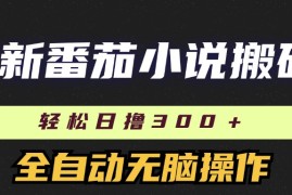 每日（11904期）最新番茄小说搬砖，日撸300＋！全自动操作，可矩阵放大便宜08月01日中创网VIP项目