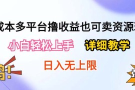 赚钱热门给力项目项目，0成本多平台撸收益也可卖资源玩法，小白轻松上手。详细教学日入500+附资源