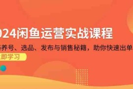 2024最新2024闲鱼运营实战课程：揭秘养号、选品、发布与销售秘籍，助你快速出单11-11福缘网