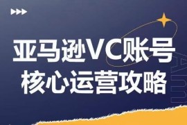 2024最新亚马逊VC账号核心玩法解析，实战经验拆解产品模块运营技巧，提升店铺GMV，有效提升运营利润便宜07月29日冒泡网VIP项目