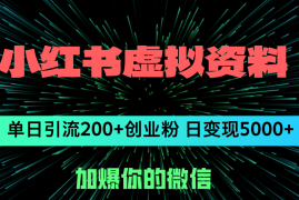 每天（12164期）小红书虚拟资料日引流200+创业粉，单日变现5000+08-15中创网