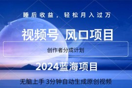 简单项目（11388期）2024蓝海项目，3分钟自动生成视频，月入过万，07月02日中创网VIP项目