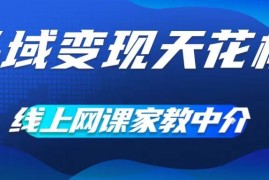 每日私域变现天花板，网课家教中介，只做渠道和流量，让大学生给你打工，0成本实现月入五位数【揭秘】便宜08月10日冒泡网VIP项目