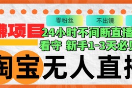 2024最新（12889期）淘宝无人直播3.0，不违规不封号，轻松月入3W+，长期稳定10-09中创网