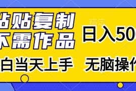 2024最新（13242期）粘贴复制，无需作品，日入500+，小白当天上手，无脑操作11-06