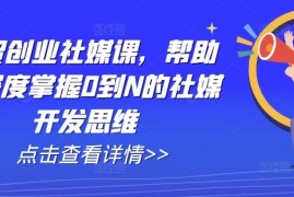 简单项目外贸创业社媒课，帮助你深度掌握0到N的社媒开发思维便宜07月06日冒泡网VIP项目