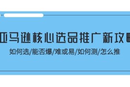 简单项目（11434期）亚马逊核心选品推广新攻略！如何选/能否爆/难或易/如何测/怎么推便宜07月05日中创网VIP项目