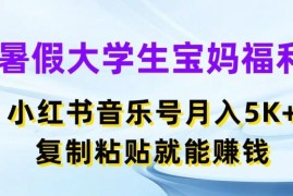 最新项目暑假大学生宝妈福利，小红书音乐号月入5000+，复制粘贴就能赚钱【揭秘】，06月29日冒泡网VIP项目