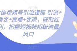 最新项目微信视频号引流课程-引流+裂变+直播+变现，获取红利，把握短视频超级流量风口，06月28日冒泡网VIP项目