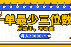 2024最新（12379期）一单最少三位数，只动手不动脑，月入2万，看完就能上手，详细教程08-30中创网