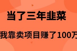 最新创业项目项目，当了3年韭菜，我靠卖项目赚了100万