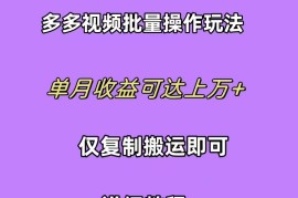 最新国内电商项目，拼多多视频带货快速过爆款选品教程 每天轻轻松松赚取三位数佣金 小白必...