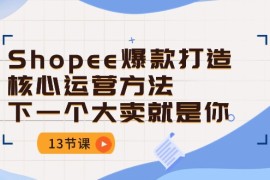 热门跨境电商项目，Shopee-爆款打造核心运营方法，下一个大卖就是你