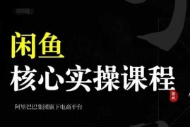 创业项目2024闲鱼核心实操课程，从养号、选品、发布、销售，教你做一个出单的闲鱼号11-11冒泡网