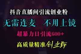 简单项目抖音直播间引流创业粉，无需连麦、无需上镜，超暴力日引流600+高质量精准创业粉【揭秘】11-13冒泡网