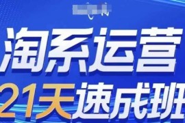 淘系运营21天速成班(更新24年6月)，0基础轻松搞定淘系运营，不做假把式，06月23日冒泡网VIP项目