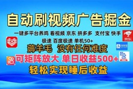 最新项目（13223期）多平台自动看视频广告掘金，当天变现，收益300+，可矩阵放大操作11-07中创网