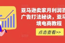 2024最新亚马逊卖家月利润百万的广告打法秘诀，亚马逊跨境电商教程便宜07月06日冒泡网VIP项目