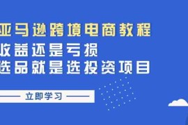 最新项目亚马逊跨境电商教程：收益还是亏损！选品就是选投资项目便宜07月06日福缘网VIP项目