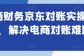 最新项目电商财务京东对账实操课程，解决电商对账难题10-13冒泡网