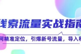 线索流量实战指南，如何精准定位，引爆新号流量，导入私域连抖音号运营