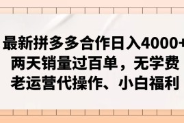 创业项目（11343期）最新拼多多合作日入4000+两天销量过百单，无学费、老运营代操作、小白福利，06月30日中创网VIP项目