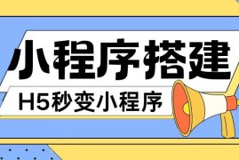 实战小程序搭建教程网页秒变微信小程序，不懂代码也可上手直接使用【揭秘】便宜08月05日冒泡网VIP项目