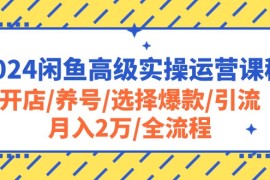 赚钱无货源项目，2024闲鱼高级实操运营课程：开店/养号/选择爆款/引流/月入2万/全流程