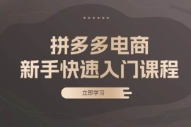 赚钱项目（13289期）拼多多电商新手快速入门课程：涵盖基础、实战与选款，助力小白轻松上手11-11中创网