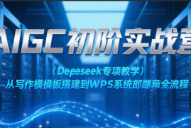AIGC初阶实战营：Deepseek专项教学，从写作模板搭建到WPS系统部署全流程