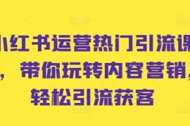 2024最新小红书运营热门引流课程，带你玩转内容营销，轻松引流获客10-12冒泡网