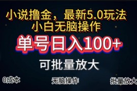 创业项目（11651期）全自动小说撸金，单号日入100+小白轻松上手，无脑操作便宜07月16日中创网VIP项目