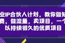 最新项目创业IP合伙人计划，教你做知识付费，做流量，卖项目，一个可以持续很久的优质项目08-28冒泡网