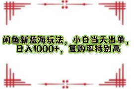 热门项目（12516期）闲鱼新蓝海玩法，小白当天出单，日入1000+，复购率特别高09-08中创网