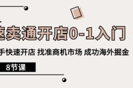 热门跨境电商项目，速卖通开店0-1入门，新手快速开店 找准商机市场 成功海外掘金