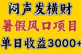 实战30天赚了7.5W暑假风口项目，比较好学，2天左右上手便宜08月05日福缘网VIP项目