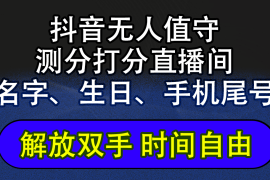 简单项目（12527期）抖音蓝海AI软件全自动实时互动无人直播非带货撸音浪，懒人主播福音，单&#8230;09-09中创网