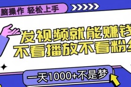 最新项目（13283期）无脑操作，只要发视频就能赚钱？不看播放不看粉丝，小白轻松上手，一天…11-10中创网