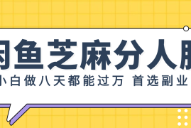 实战（12090期）闲鱼芝麻分人脉，小白做八天，都能过万！首选副业！便宜08月11日中创网VIP项目