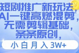 简单项目短剧推广新玩法，AI一键高燃混剪，无需剪辑基础，条条原创，小白月入3W+【揭秘】便宜08月05日冒泡网VIP项目