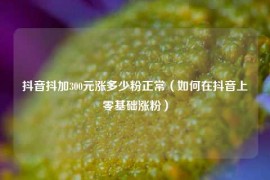 抖音抖加300元涨多少粉正常（如何在抖音上零基础涨粉）