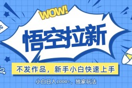 2024最新（12243期）悟空拉新最新玩法，无需作品暴力出单，小白快速上手08-20中创网