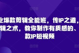 创业项目商业爆款剪辑全能班，传IP之道，授剪辑之术，教你制作有质感的、爆款IP短视频08-24冒泡网