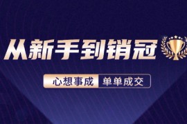 热门项目（12383期）从新手到销冠：精通客户心理学，揭秘销冠背后的成交秘籍08-30中创网