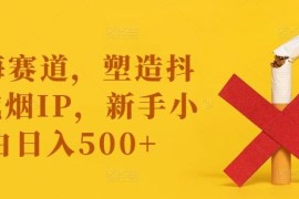 创业项目蓝海赛道，塑造抖音戒烟IP，新手小白日入500+【揭秘】便宜08月19日冒泡网VIP项目