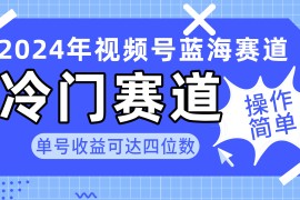 赚钱短视频运营项目:2024视频号冷门蓝海赛道，操作简单 单号收益可达四位数