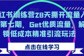 简单项目小红书训练营28天撕开流量入口第七期，Get优质流量，解锁低成本精准引流玩法10-18冒泡网