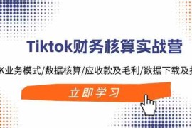 2024最新Tiktok财务核算实战营：TK业务模式/数据核算/应收款及毛利/数据下载及报表便宜08月05日福缘网VIP项目