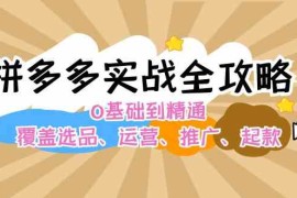 2024最新拼多多实战全攻略：0基础到精通，覆盖选品、运营、推广、起款08-25福缘网